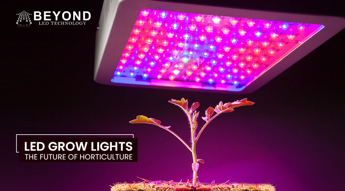The Future of Light Is the LED