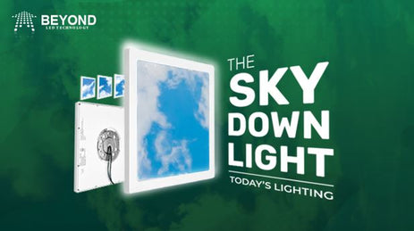 The Sky Downlight - Today’s Lighting