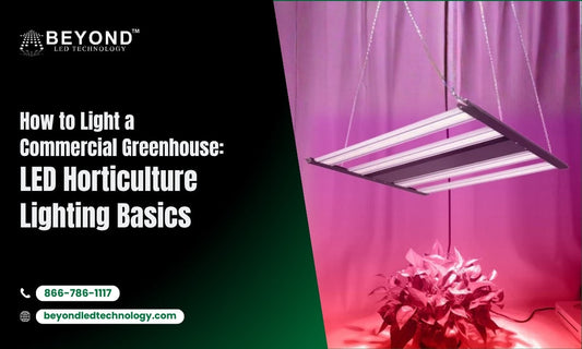 How to Light a Commercial Greenhouse: LED Horticulture Lighting Basics