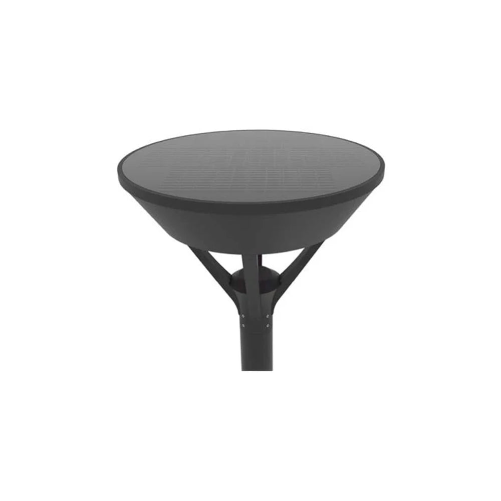 PLANTATION - Solar Pathway Light