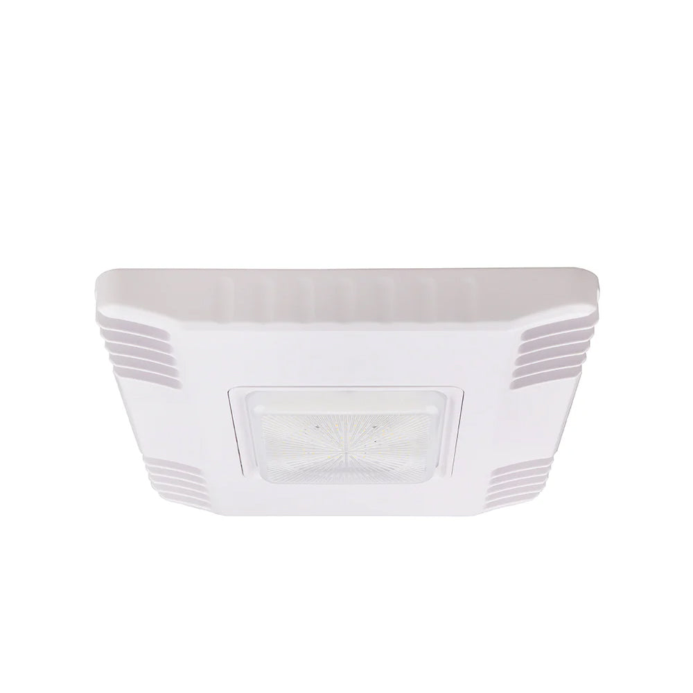 V-1 - LED Canopy Light