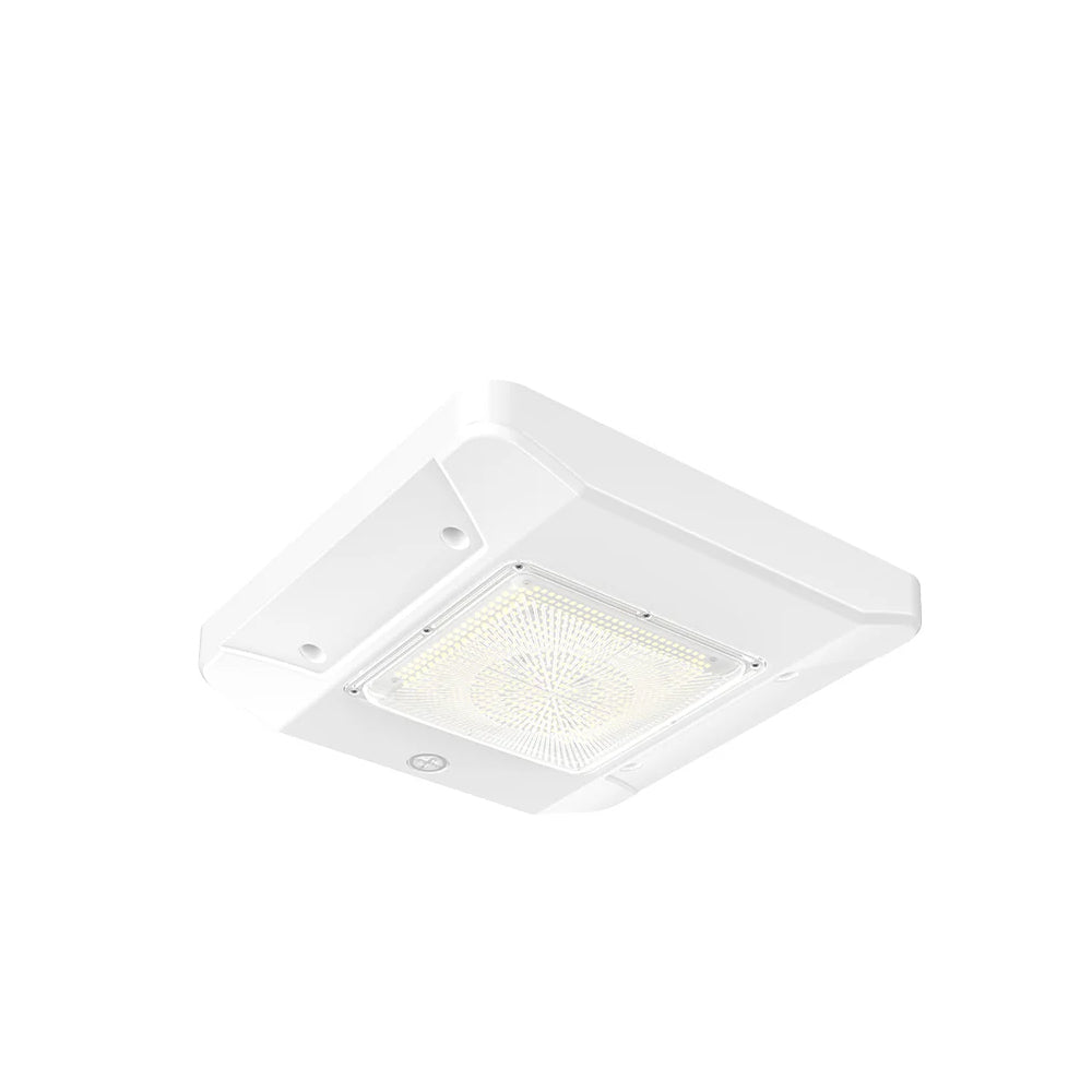 ZILARA - LED Canopy Light