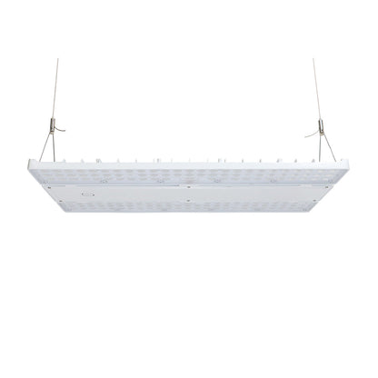 LOYA 2ND GEN | LED Linear High Bay | Adj Watt 240W-270W-310W | 36240-46810 Lumens | Adj CCT 4000K-5000K | 120-347Vac | White Housing | UL & DLC Listed