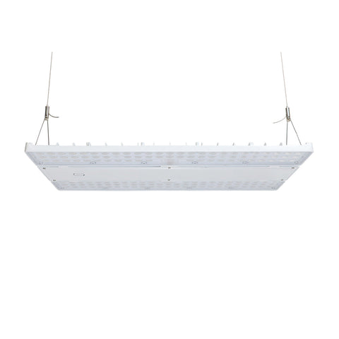 LOYA 2ND GEN | LED Linear High Bay | Adj Watt 240W-270W-310W | 36240-46810 Lumens | Adj CCT 4000K-5000K | 120-347Vac | White Housing | UL & DLC Listed