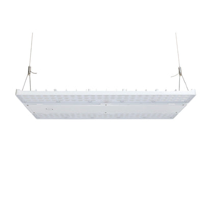 LOYA 2ND GEN | LED Linear High Bay | Adj Watt 240W-270W-310W | 36240-46810 Lumens | Adj CCT 4000K-5000K | 120-277Vac | Built-In 40W Emergency Battery Backup | White Housing | UL & DLC Listed