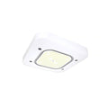 Yale 2nd Gen | LED Petroleum Canopy Light