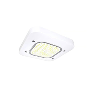 Yale 2nd Gen | LED Petroleum Canopy Light
