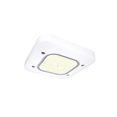 All LED Canopy Lights