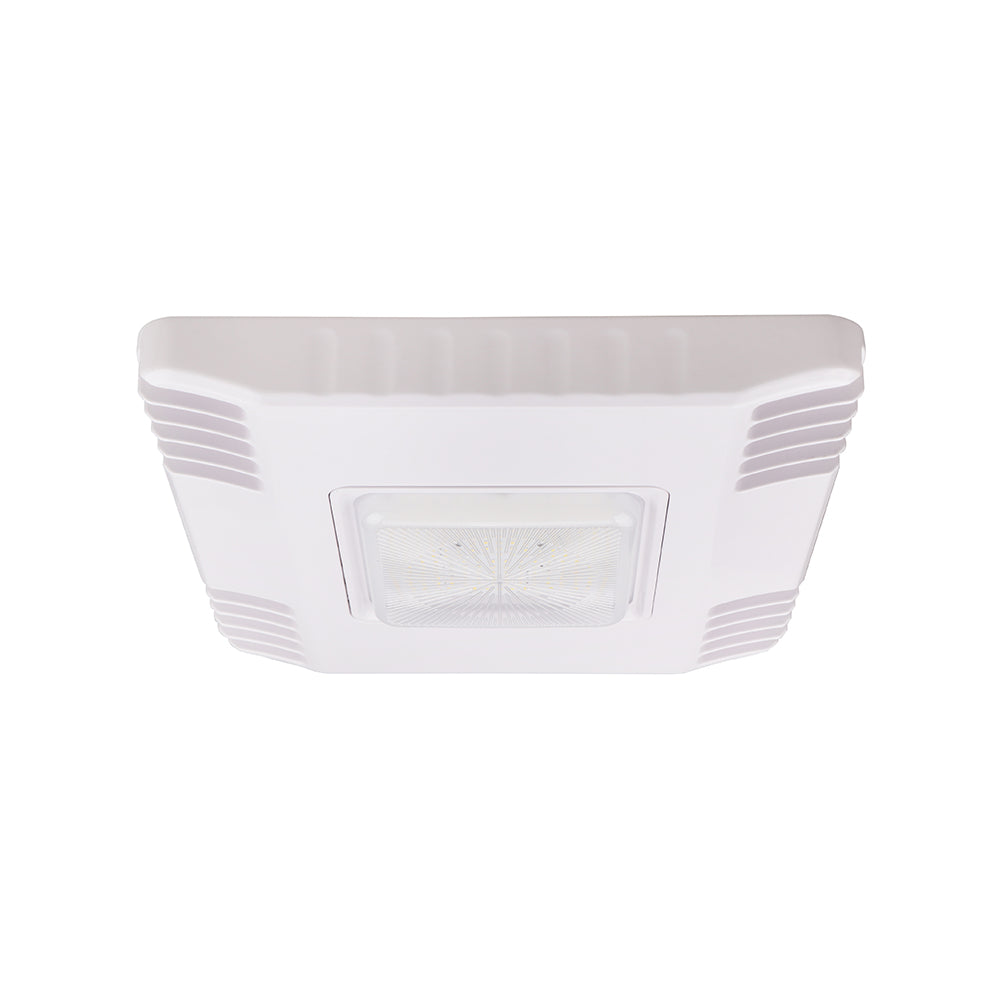 V-1 | LED Canopy Light