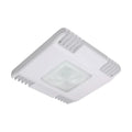 V-1 | LED Canopy Light
