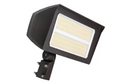Flood  Lights