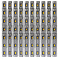 ST6 | LED Sign Module | 0.72 Watt | Green | 12V | IP67 | CE & ROHS Listed | Pack of 50 - Beyond LED Technology