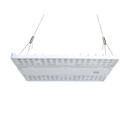 LOYA | LED Linear High Bay | Adj Watt 90W-105W-130W | 19630Lm | 5000K | 120V-277V | White Housing | UL & DLC Listed - Beyond LED Technology