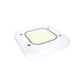 YALE 2nd Gen | LED Petroleum Canopy Light | 150 Watt | 22290 Lumens | 5700K | 120V-277V | White Housing | IP65 | UL & DLC Listed - Beyond LED Technology